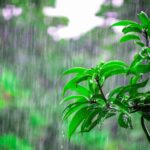 rain-111-1