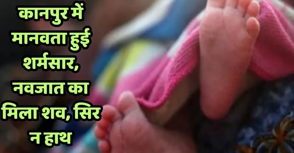 Kanpur-Newborn-Baby-Found-Dead-in-Park-(1)-1763628708960
